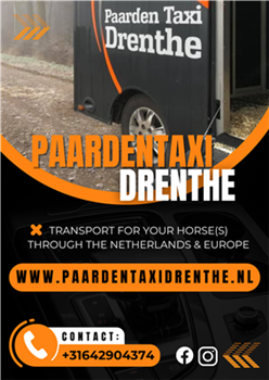 Pferdetaxi Drenthe – Transport in den gesamten Niederlanden
